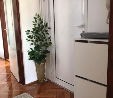 Pirot Apartamento | Apartman Snezana