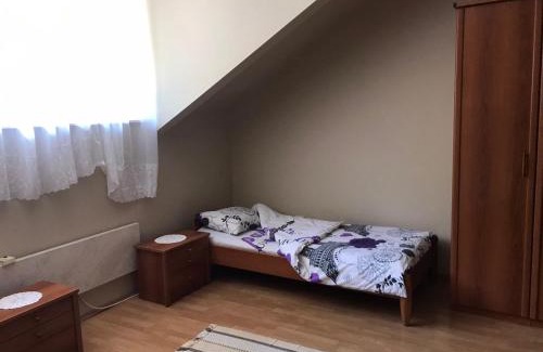 Central Serbia Apartamento | Apartman Spasic