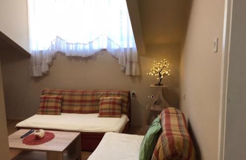 Central Serbia Apartamento | Apartman Spasic