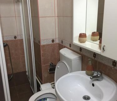 Central Serbia Apartamento | Apartman Spasic