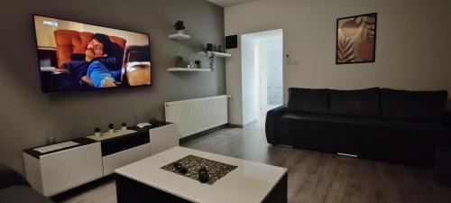 Odzaci Apartamento | Apartman Stanković