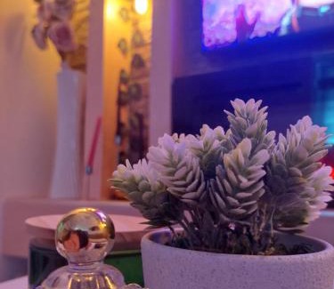 Vojvodina Apartamento | Apartman Star LUX