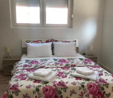 Golubac Apartamento | Apartman studio Milojkovic