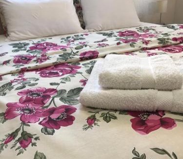 Golubac Apartamento | Apartman studio Milojkovic