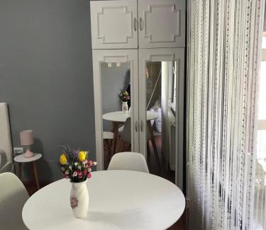 Sremski Karlovci Apartamento | Apartman studio Pavle i Petra
