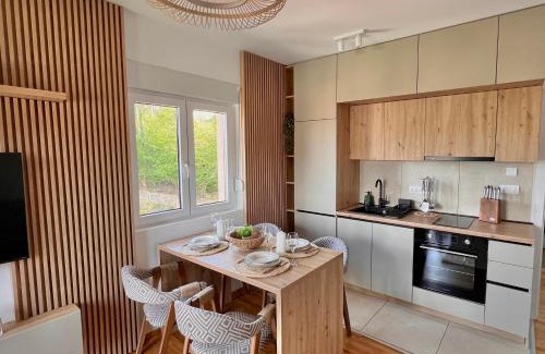 Vrnjacka Banja Apartamento | Apartman Sunrise
