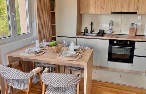 Vrnjacka Banja Apartamento | Apartman Sunrise