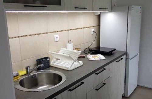Gornja Toplica Apartamento | Apartman Tamara