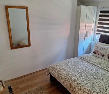 Arandelovac Apartamento | Apartman Tara
