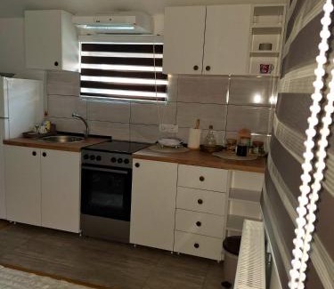 Arandelovac Apartamento | Apartman Tara