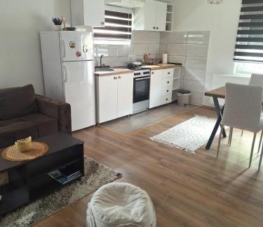 Arandelovac Apartamento | Apartman Tara