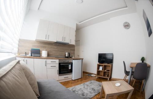 Banovo brdo Apartamento | APARTMAN TEA 3