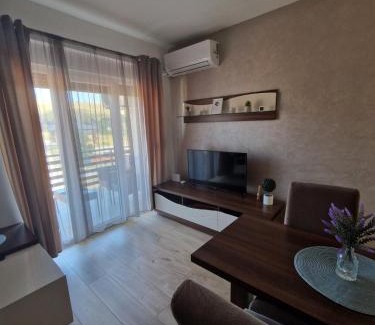 Zlatibor Apartamento | Apartman TEKA
