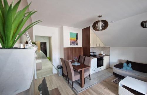 Zlatibor Apartamento | Apartman TEKA