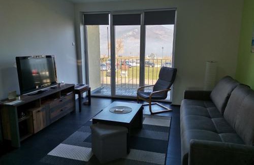 Donji Milanovac Apartamento | Apartman Terassa