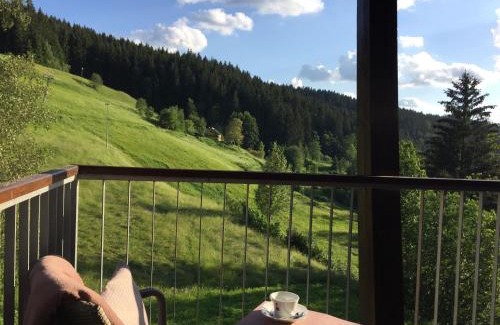 Velke Karlovice Apartamento | Apartman U sjezdovky