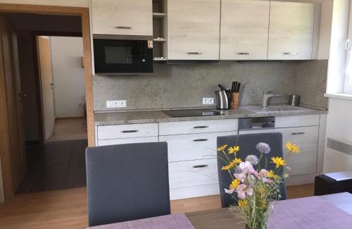 Velke Karlovice Apartamento | Apartman U sjezdovky