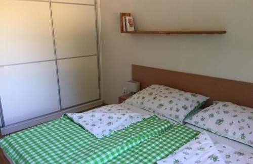 Velke Karlovice Apartamento | Apartman U sjezdovky