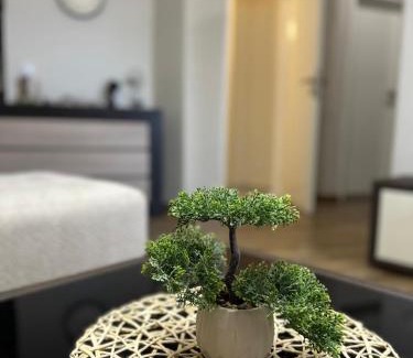Leskovac Apartamento | Apartman Una