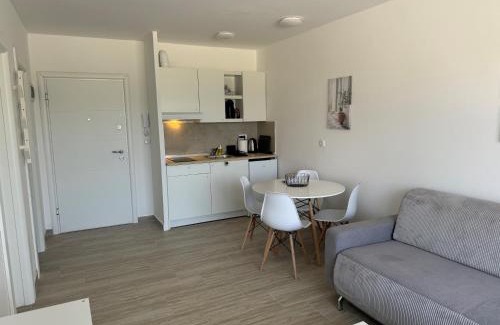 Veliko Gradiste Apartamento | Apartman VERA Srebrno Jezero