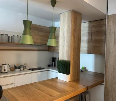 Central Serbia Apartamento | Apartman Vila Jaram, Kopaonik