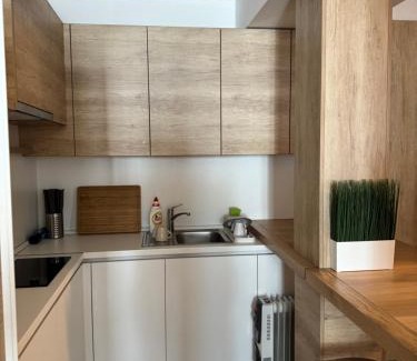 Central Serbia Apartamento | Apartman Vila Jaram, Kopaonik