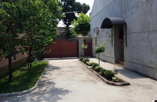 Kikinda Apartamento | Apartman Vila Milica
