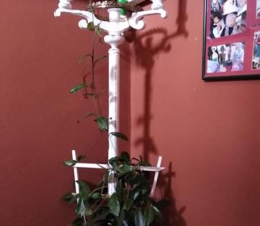 Vrdnik Apartamento | Apartman Vrdničak