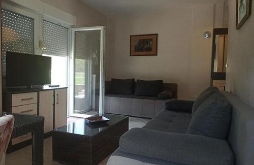 Gornja Toplica Apartamento | Apartman Vrujci