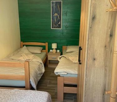 Stara Planina Apartamento | Apartman Vuk, Crni Vrh - Stara planina