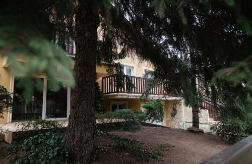 Palic Apartamento | Apartman Vuk