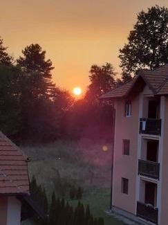 Zlatibor Apartamento | Apartman Vukojevic