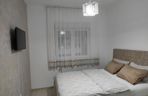 Banja Koviljaca Apartamento | Apartman Vukosavljević