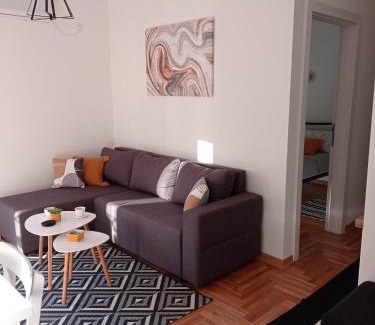 Vrnjacka Banja Apartamento | Apartman Vule