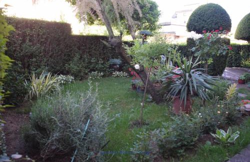 Vranje Apartamento | Apartman Wisteria