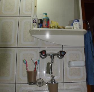 Vranje Apartamento | Apartman Wisteria
