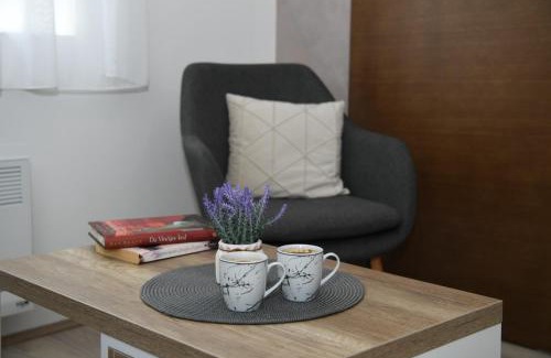 Jagodina Apartamento | Apartman Zara