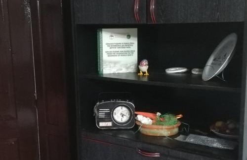 Central Serbia Apartamento | Apartmani Feliks
