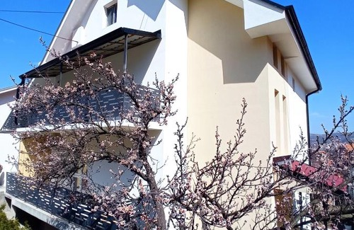 Soko Banja Apartamento | Apartmani HRAST Sokobanja