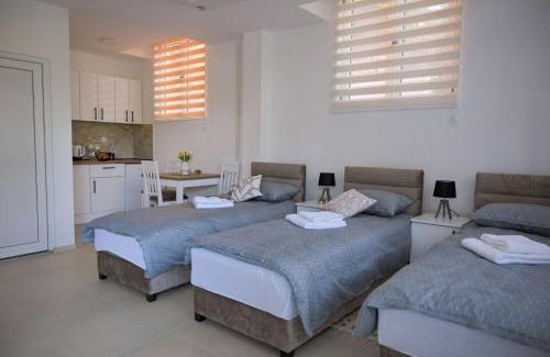 Kursumlija Apartamento | Apartmani kod kumašina