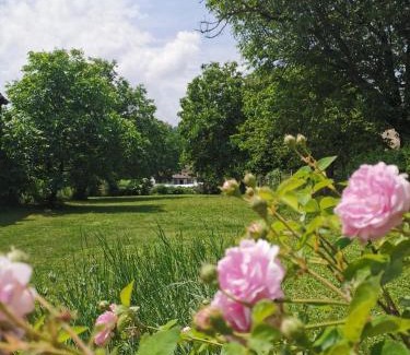Vrdnik Apartamento | Apartmani La Grande Motte