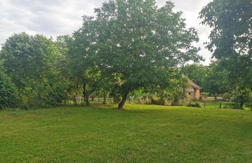 Vrdnik Apartamento | Apartmani La Grande Motte
