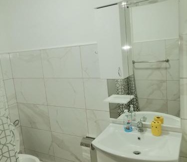 Central Serbia Apartamento | Apartmani Lazić