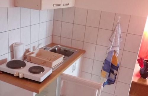 Central Serbia Apartamento | Apartmani Lazić Ribarska Banja