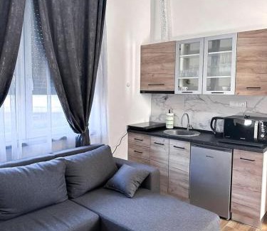 Kraljevo Apartamento | Apartmani M.&.B Luks