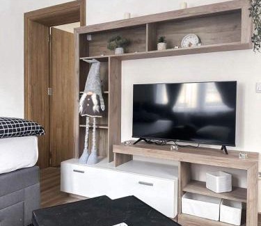 Kraljevo Apartamento | Apartmani M.&.B Luks 2