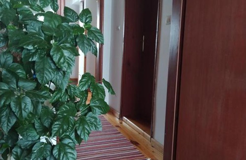 Zlatibor Apartamento | Apartmani Milić