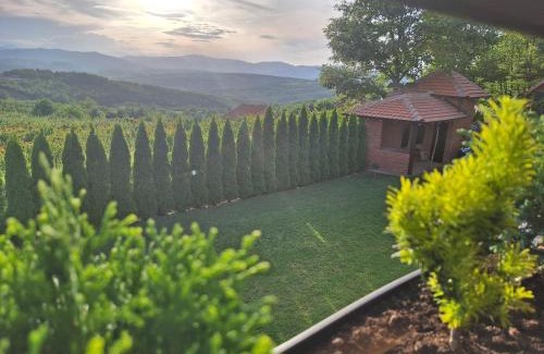 Central Serbia Apartamento | Apartmani Milosavljević