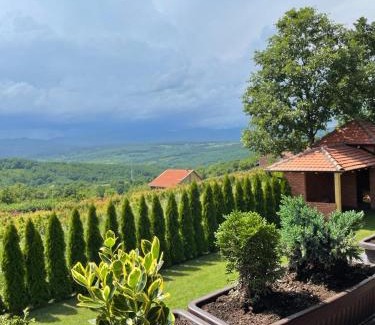 Central Serbia Apartamento | Apartmani Milosavljević