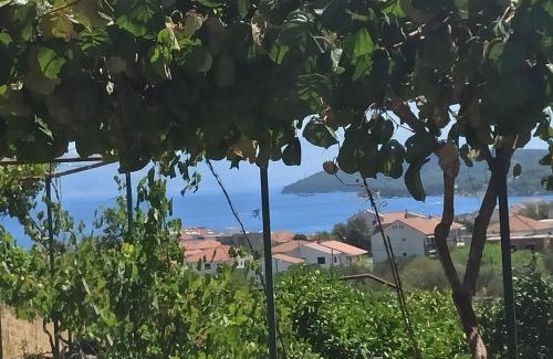 Slatine Apartamento | Apartmani Mislav